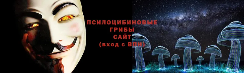 Галлюциногенные грибы Magic Shrooms  наркота  Правдинск 